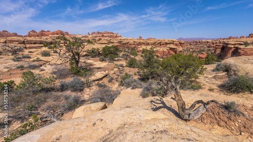 hiking the chesler park loop trail in the needles in canyonlands national park, usa