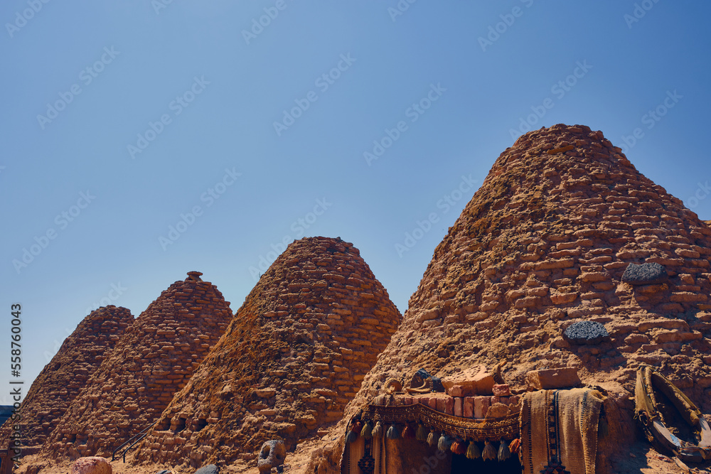 Traditional mud brick or adobe made beehive houses. Harran, major
