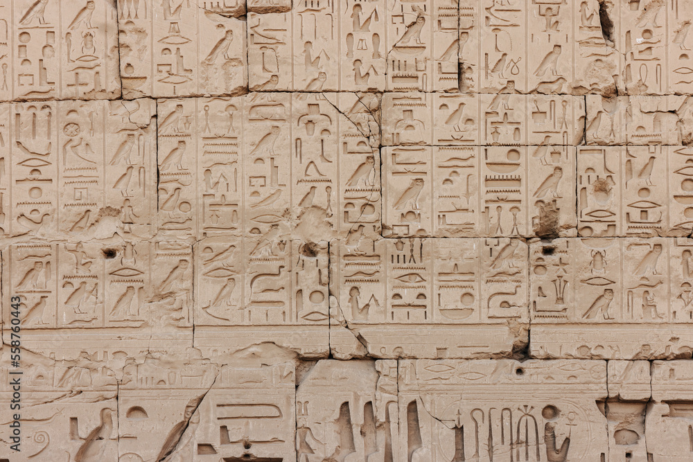 Fototapeta premium Hieroglyphics and reliefs at the Karnak Temple in Luxor, Egypt