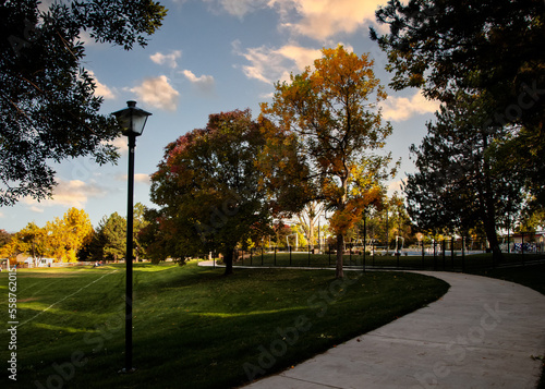 Concrete walkway in shade surrounded by autumn trees with a single lamp post and blue sky with afternoon warm light Littleton, Colorado, Jefferson County