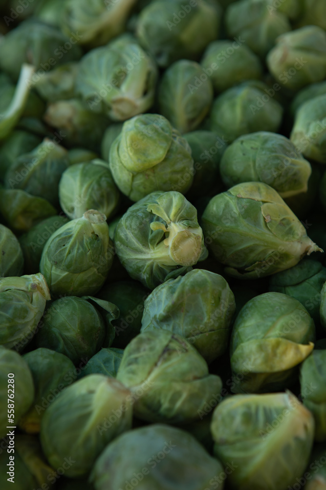 Fresh green brussels sprout.background Fresh green brussels sprout.background