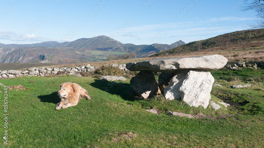 Perro junto a dolmen de rocas en montaña