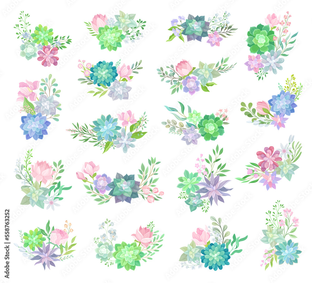 Elegant Bouquets or Bunches of Succulent Blue Flowers and Twigs Big Vector Set