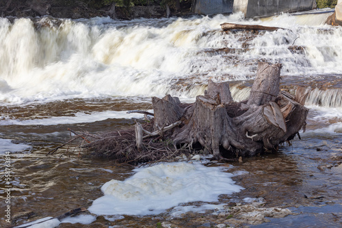 Rough and stationary tree stumps contrast against the soft smooth flow of the water below McGowan Falls at Durham in Ontario, Canada. photo