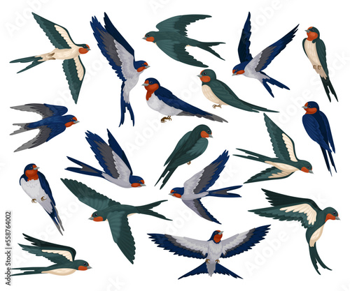 Set of flying swallows. Flock of martlet birds cartoon vector illustration