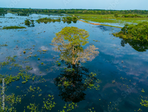 Pantanal inundado