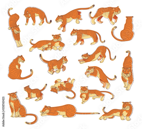 Set of tigers in different poses. Carnivorous African animals sleeping, walking, sitting and lying hand drawn vector illustration