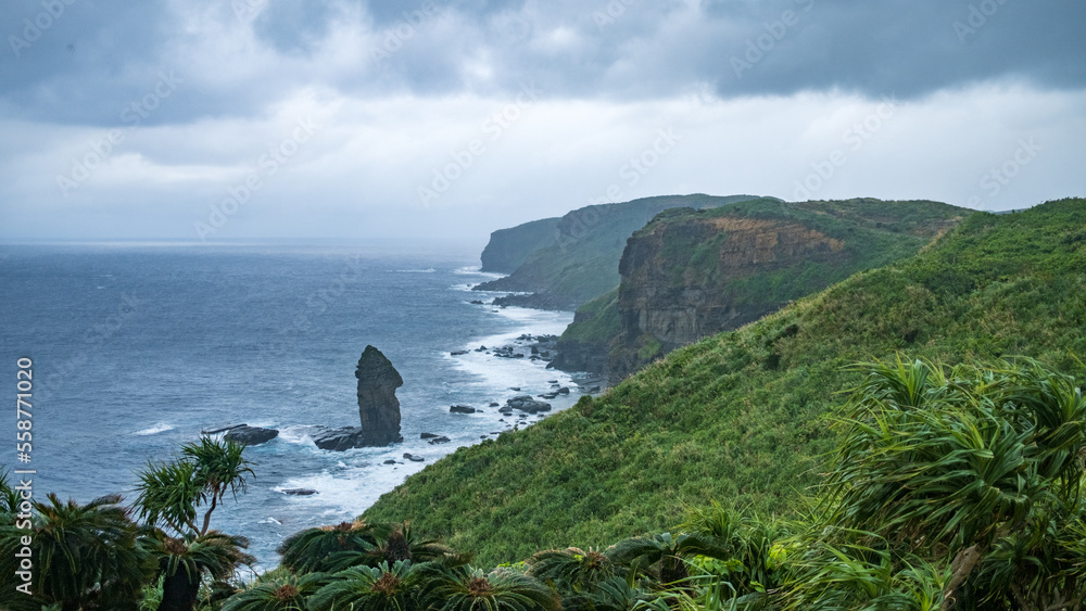 沖縄・与那国島の立神岩が見える風景