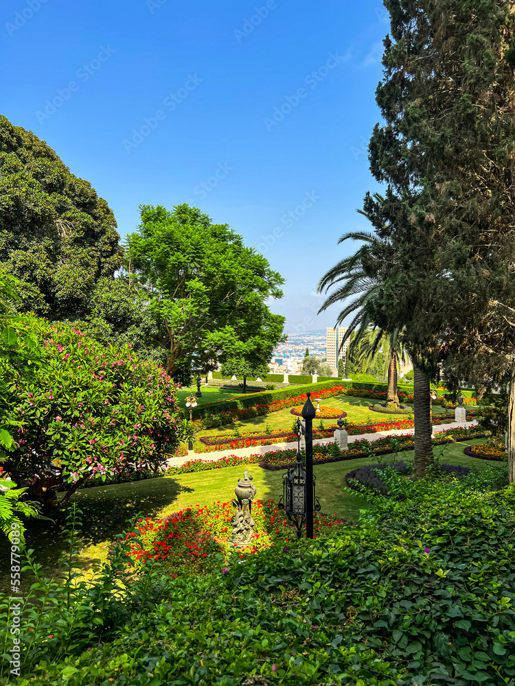 View of park with green trees and beautiful flower beds