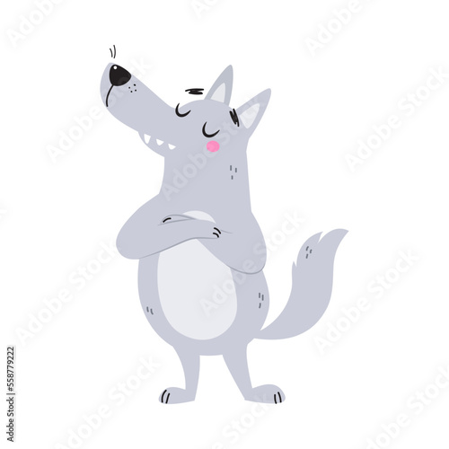 Grey Wolf Character with Pointed Muzzle Standing with Grumpy Face Vector Illustration