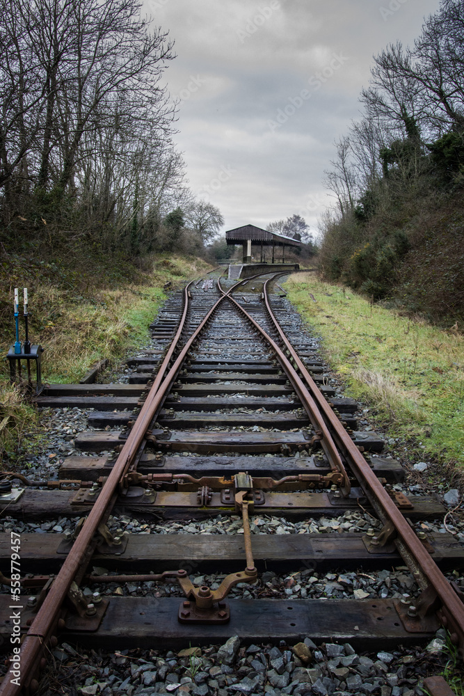 Obraz premium Old railway station in the Irish countryside. Bifurcation in the railway tracks, rusty and rotten wooden sleepers.. Northern Ireland, UK