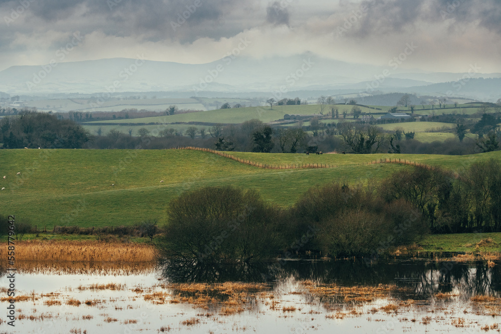 Landscape with lake, green countryside fields and Mourne mountains on the background. Northern Ireland, UK