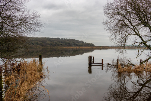 Reflection of trees in the tranquil water. Landscape view of a gate on the marshes filled with water after the rain. Northern Ireland, UK
