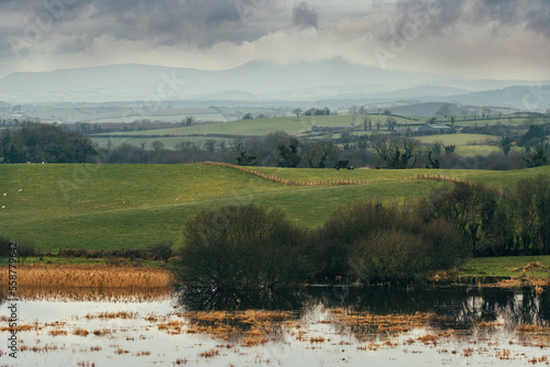 Landscape with lake, green countryside fields and Mourne mountains on the background. Northern Ireland, UK