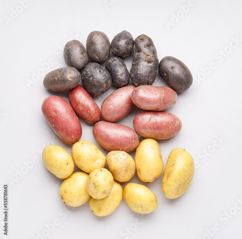 Heap of different raw potatoes on light background