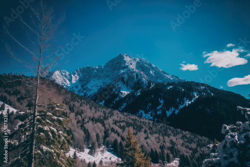 Vertical view of a snow covered mountain with a blue sky in the distance. Generative AI