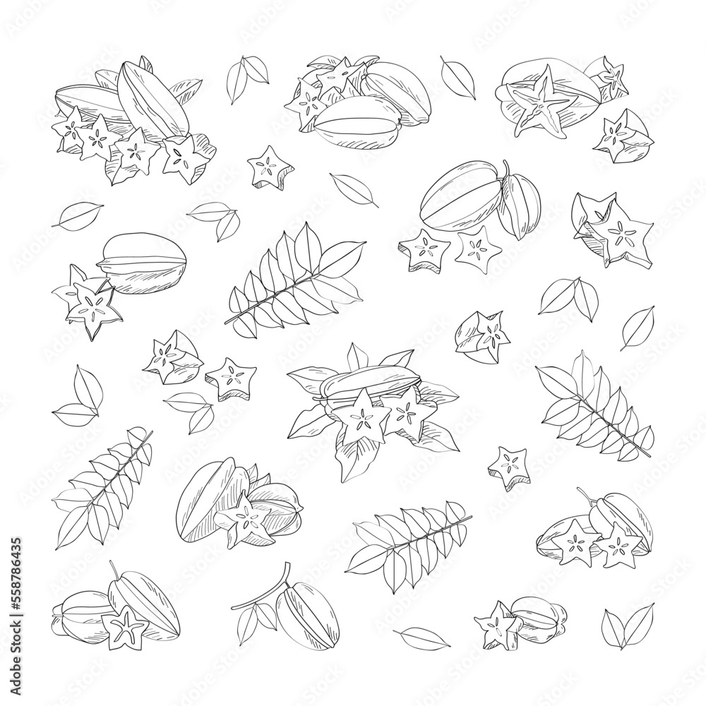 Exotic carambola fruit. Vector pattern in a hand-drawn style on a white background. Exotic carambola fruit. Vector pattern in a hand-drawn style on a white background.