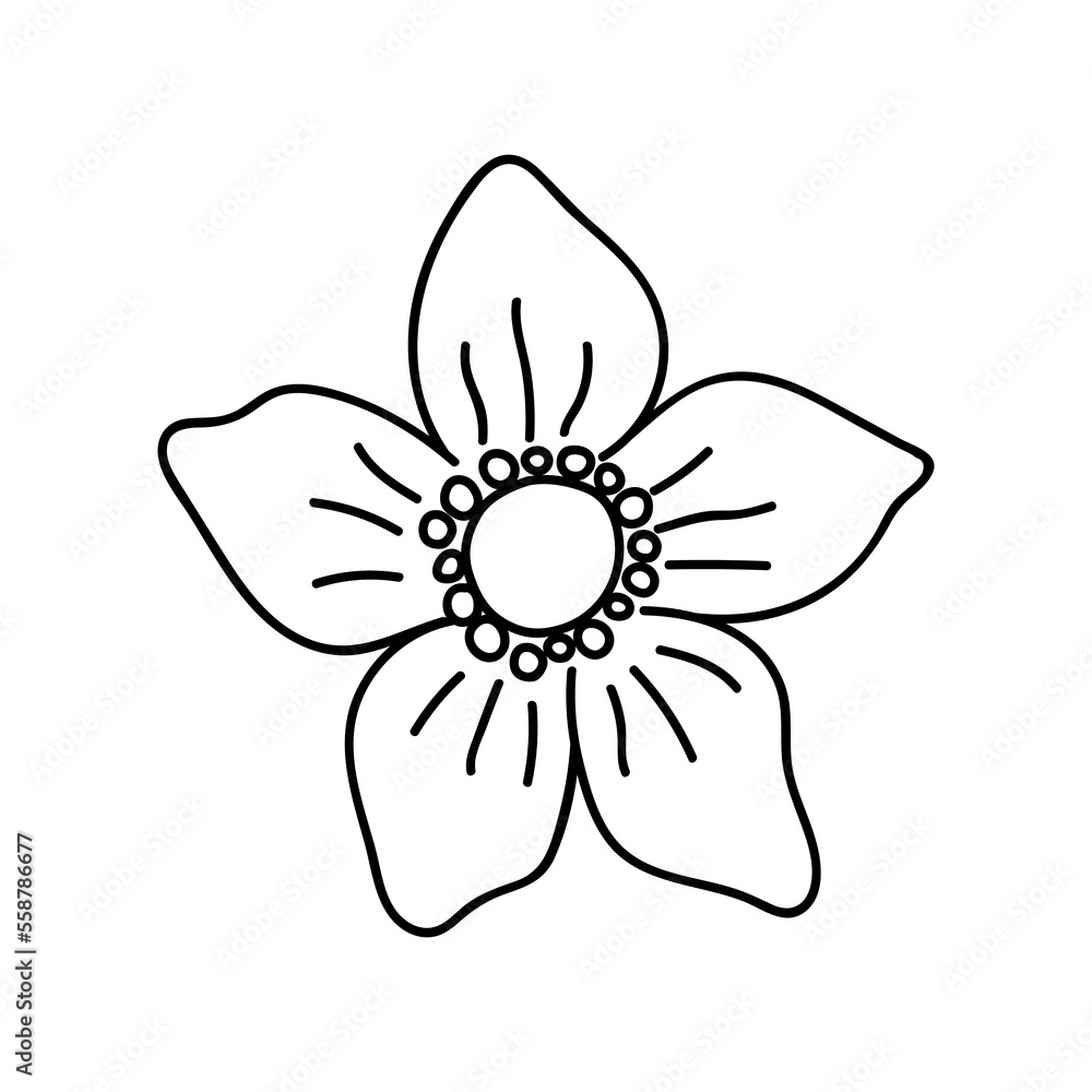 Fototapeta premium Single hand drawn flower head. Vector illustration in doodles style. Isolate on a white background.