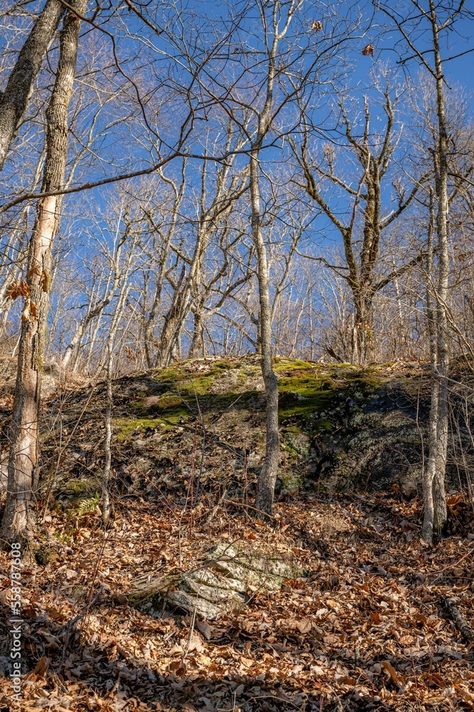 Bartram Trail waterfall