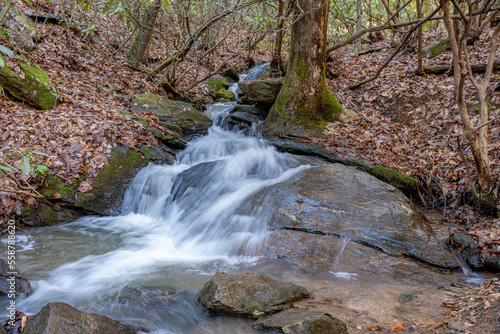 bartram trail photo