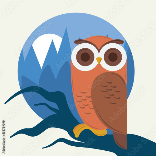 owl on tree in night