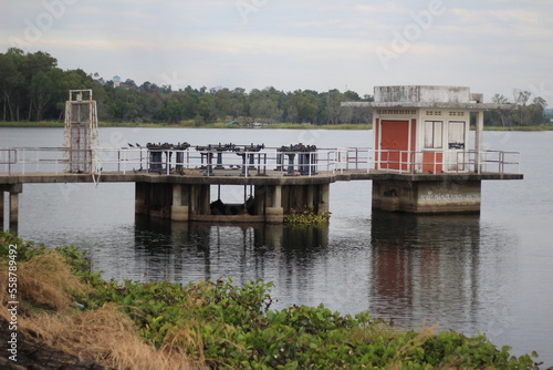 bridge over the river