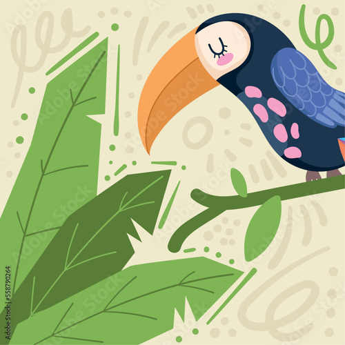 toucan on branch jungle animal