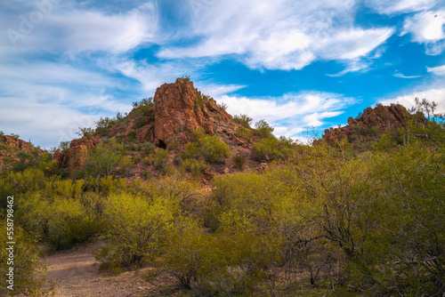 Saguaro National Park Hiking Trail Landscape Series, Tucson Mountain Gates Pass Scenic Lookout in Tucson, Arizona, USA