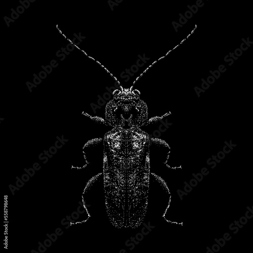 Old House Borer hand drawing vector isolated on black background.
