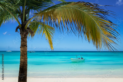 Fototapeta Naklejka Na Ścianę i Meble -  Tropical paradise, sand beach in caribbean Saona Island, Punta Cana, Dominican