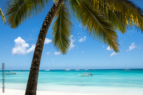 Fototapeta Naklejka Na Ścianę i Meble -  Tropical paradise, sand beach in caribbean Saona Island, Punta Cana, Dominican