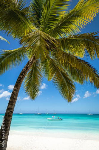 Tropical paradise, sand beach in caribbean Saona Island, Punta Cana, Dominican © Aide