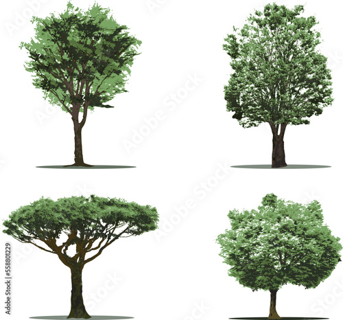 木　樹木セット