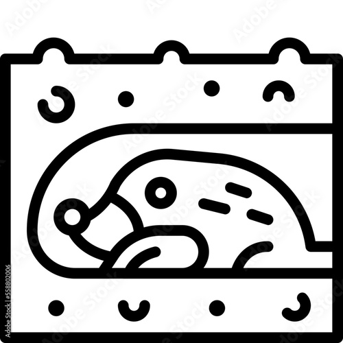 mole line icon