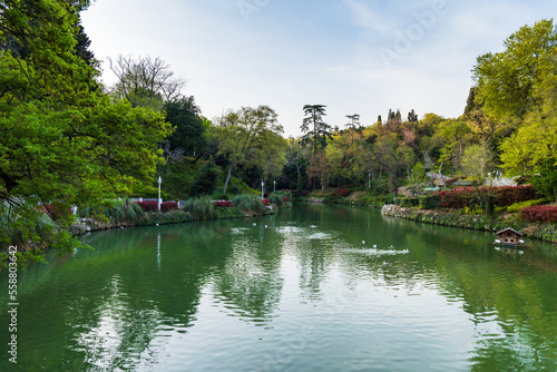 Photography Yildiz Park lake view in Besiktas area of Istanbul, Turkey