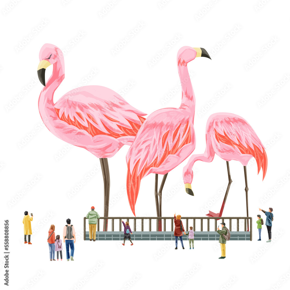 Fototapeta premium 動物園のフラミンゴを見る人々の手描き水彩風イラスト