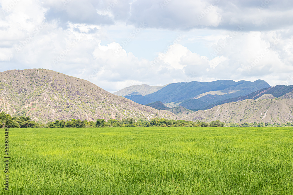 Fototapeta premium landscape with mountains and clouds