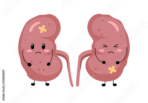 Cute sad sick kidney cartoon character in flat design on white background. Unhealthy kidney disease concept vector illustration.