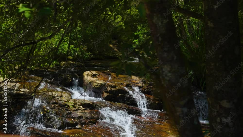Springbrook National Park Water stream to waterfalls, Gold Coast, Queensland, Australia Springbrook National Park Water stream to waterfalls, Gold Coast, Queensland, Australia