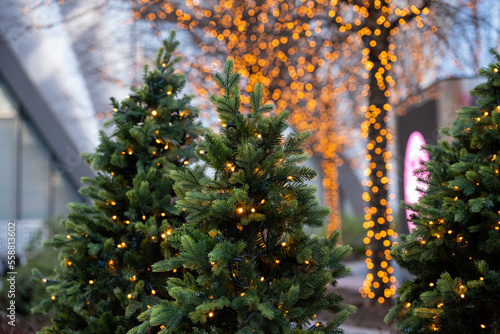 Christmas tree decorations and lighting decorations during Christmas holiday season