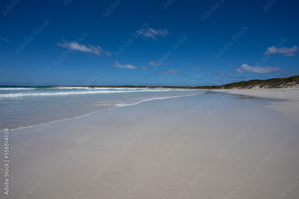 The beach at Vivonne Bay on Kangaroo Island in South Australia The beach at Vivonne Bay on Kangaroo Island in South Australia