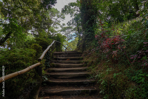 Fototapeta Naklejka Na Ścianę i Meble -  Stairway to heaven, El Boqueron Volcano, El Salvador, 2022