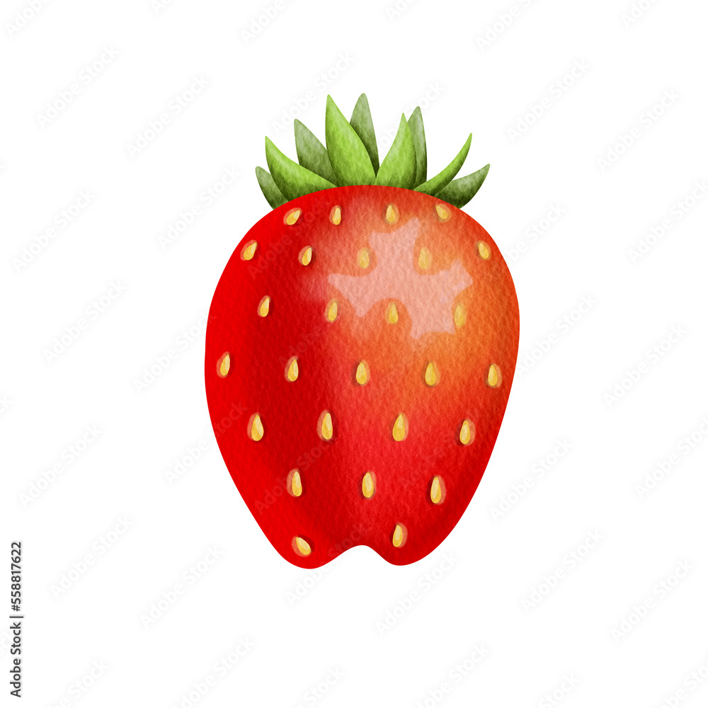 Obraz premium Watercolor strawberry. 