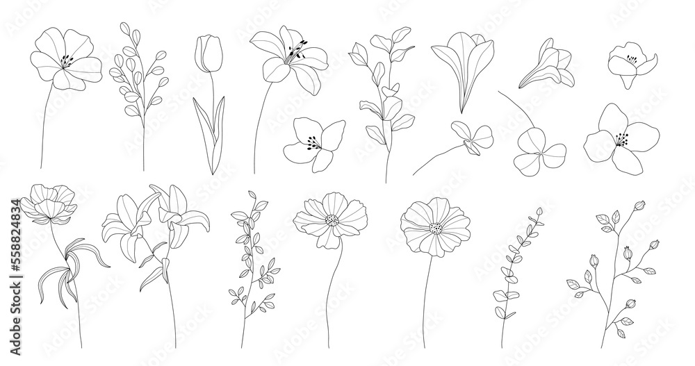 Botanical hand drawn line art vector set. Collection of contour drawing flowers, eucalyptus leaf branch, lily, floral leaves in minimal style. Design illustration for logo, wedding, invitation, decor - obrazy, fototapety, plakaty 