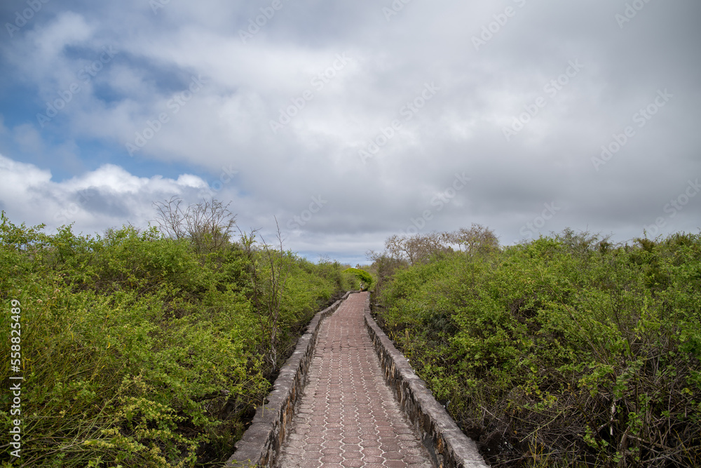 Sendero hacia la playa