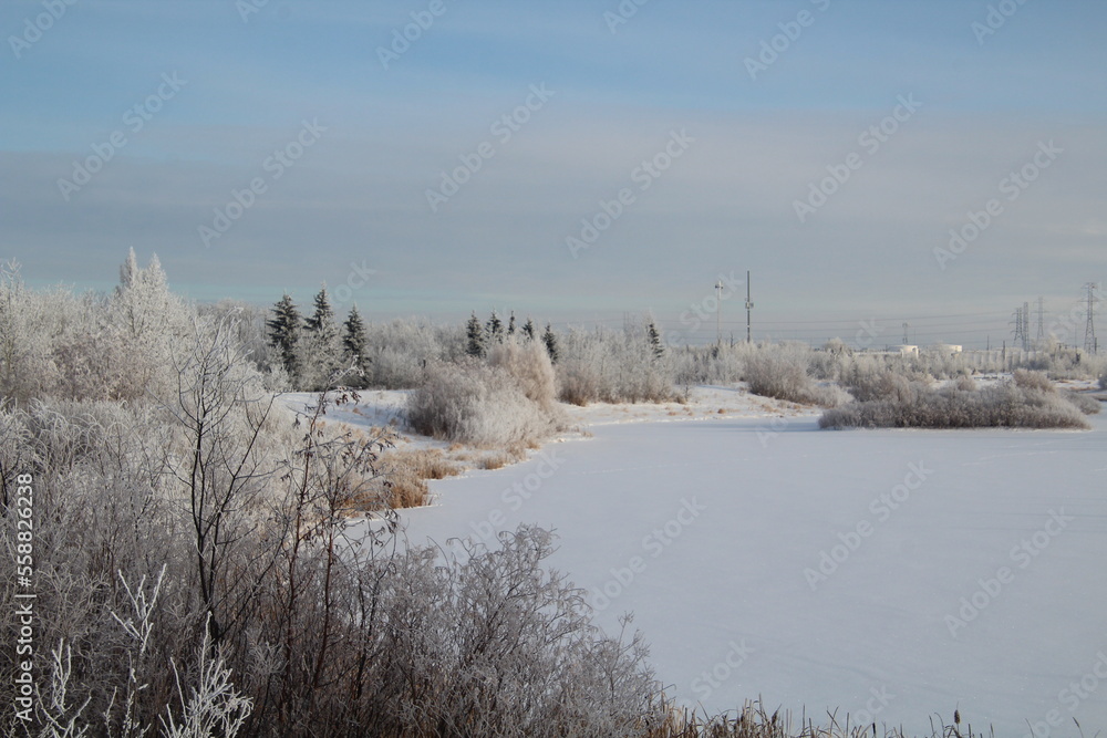 Frost Around The Lake, Pylypow Wetlands, Edmonton, Alberta