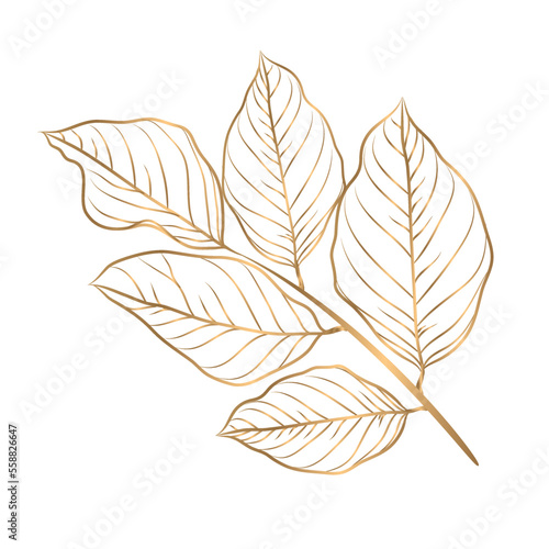 Vector golden leaf stripes on white background