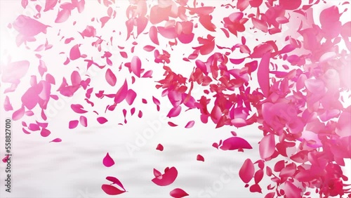 
Valentine day greeting. happy valentine's day. Pink Rose video. Pink Rose Petals happy valentine day background. photo