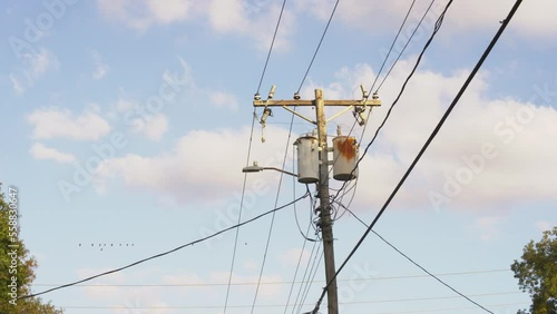Power poll with power lines and transformers, with birds on the power lines.