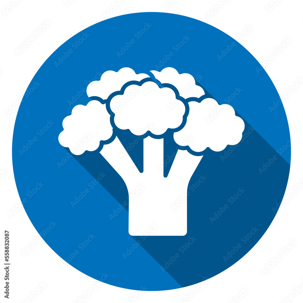 broccoli icon broccoli icon
